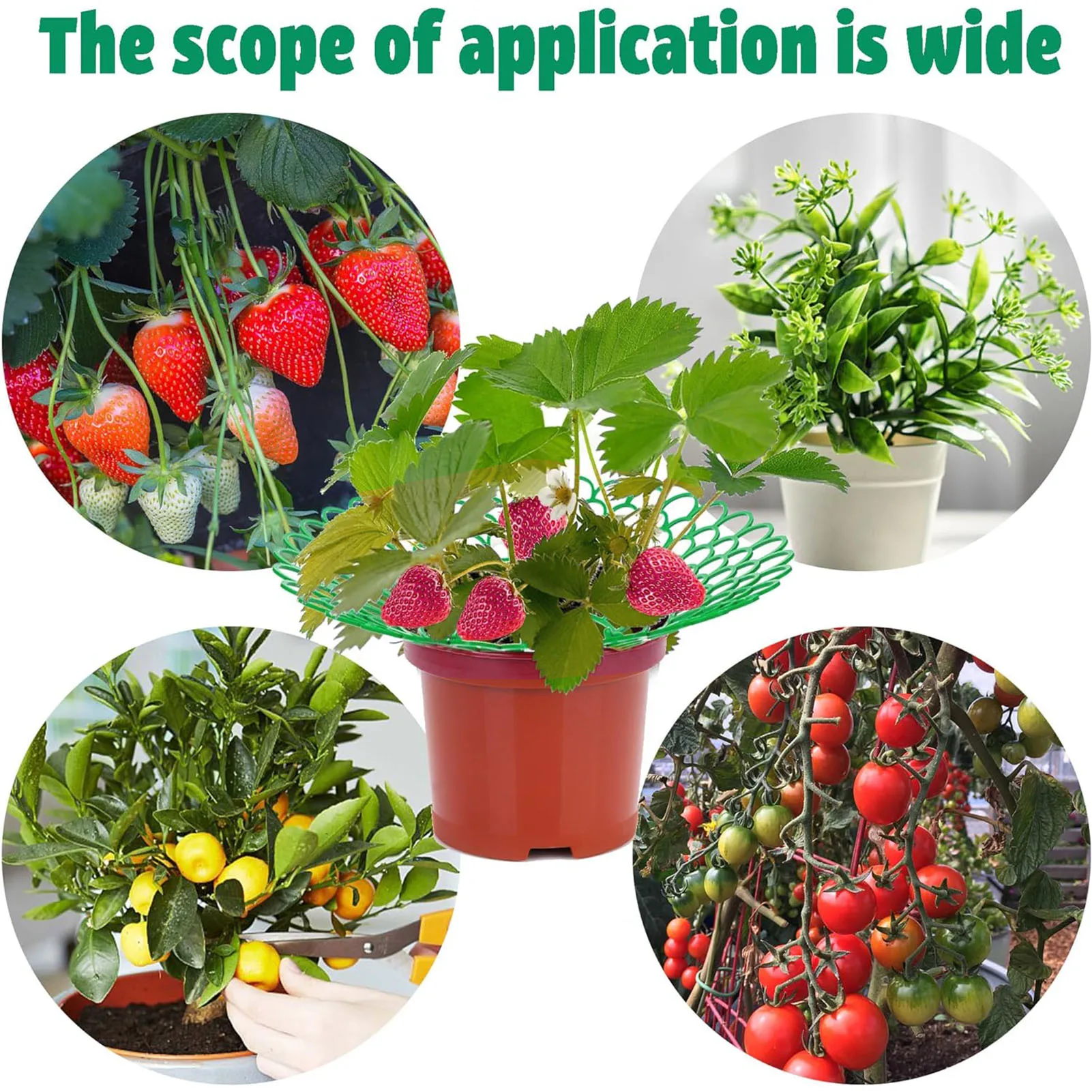 5/10PCS Strawberry Supports Balcony Planting Rack Keeping Plant Vegetable Growing Rack With 3 Sturdy Support Feet Garden Tools