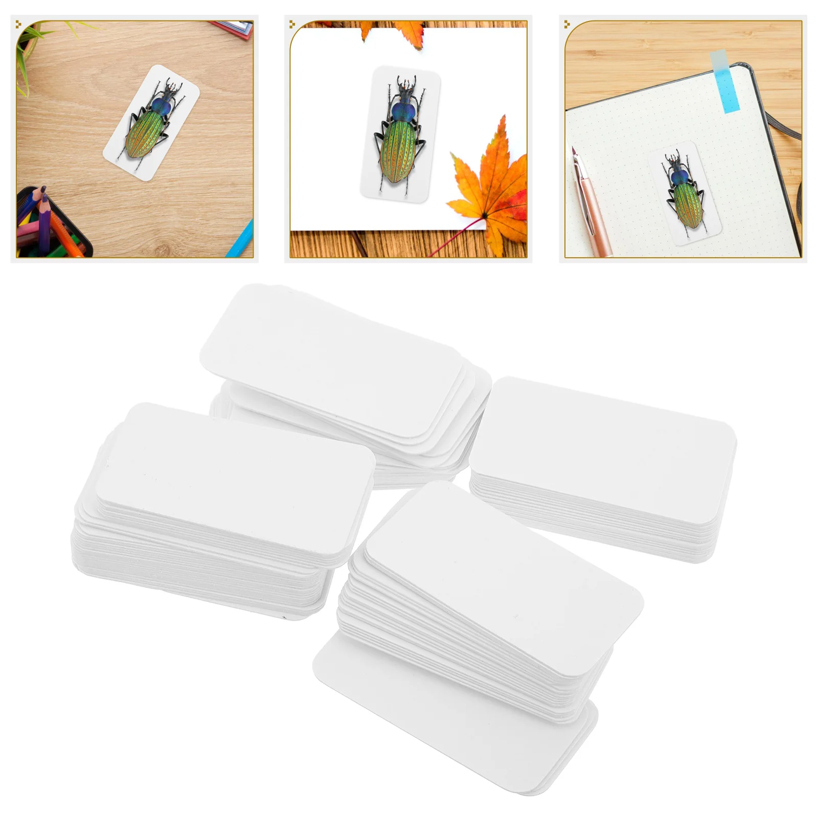 100 Pcs Miniature Specimen Pad Insect Mount Paper Flower Press Boards for Bug Suite Butterfly Mounting Plastic Blotting