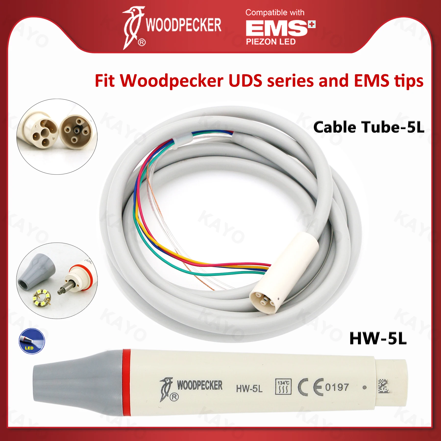 Woodpecker Dental Ultrasonic Scaler Handpiece LED Cable Tube 5L Scaler Torque Wrench HW-5L Fit EMS UDS Dental Tools