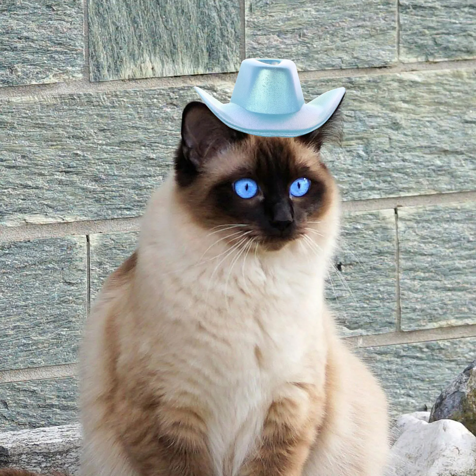 

Adjustable Pet Cowboy For Small Dogs Puppy Costume Party Kitten Accessory Bright Color Comfortable Polyester Dog Hat Cosplay