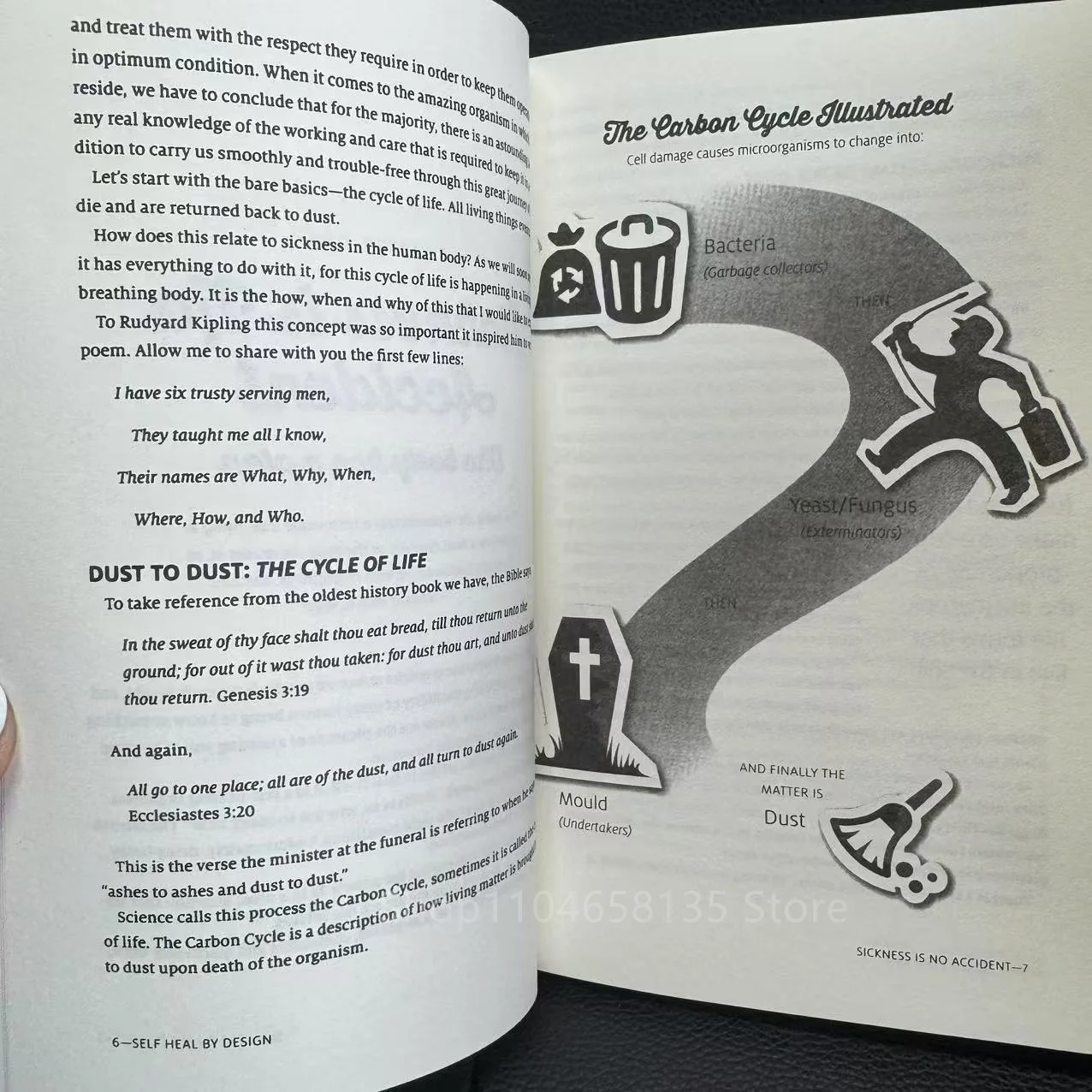 【HOT SALE】[Heartfelt Storytelling]Sustain Me by Barbara O’Neill/ Romance Novel/ Health Pillar Books/Emotional Journey Book image 6