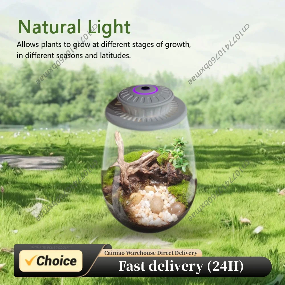 Micro Landscape Plant Growth Lamp with Timer Plant Grow Light LED Full Spectrum Growing Lamp for Miniature Gardening Landscape