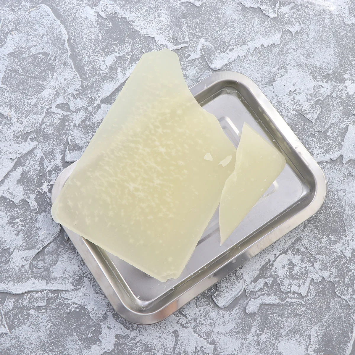 

2 Pcs Anatomical Dish Wax Biological Laboratory Equipment Dissection Tray Tool Junior School Class