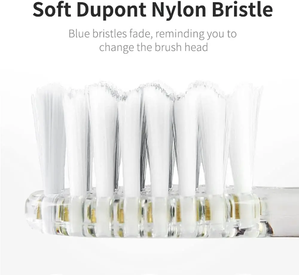 Seago อะไหล่หัวแปรงสีฟันสำหรับ SG513 SG977 8แพ็คสำหรับเด็กวัยหัดเดินใช้ได้กับแปรงสีฟันไฟฟ้า Seago