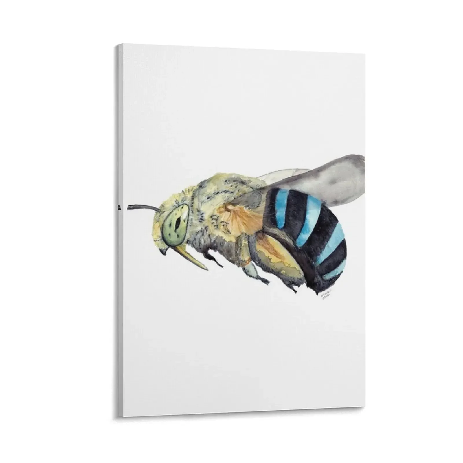 

Australian Blue-Banded Bee Canvas Painting decorations for the room decorative wall poster