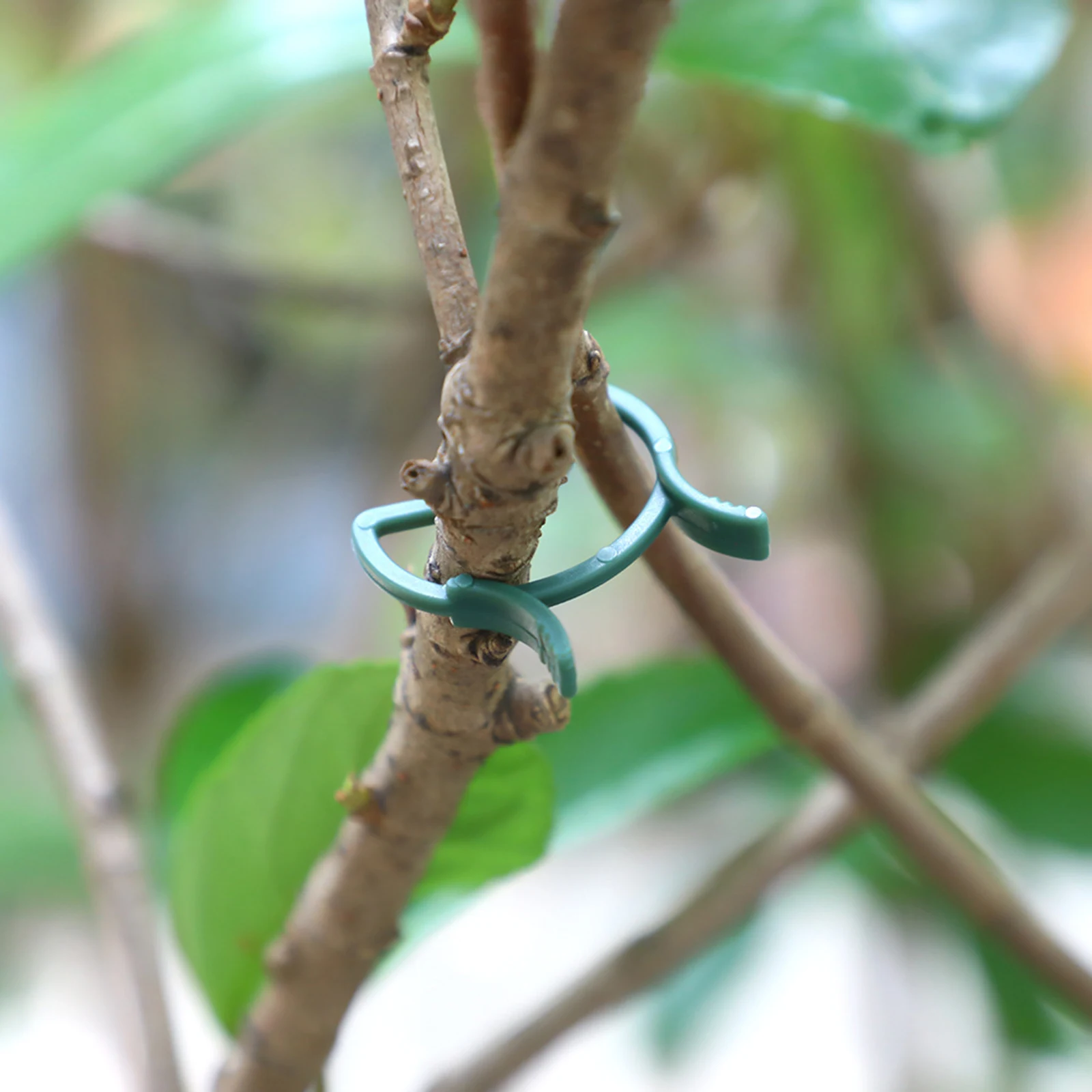 100Pcs Garden Clips Reusable Tomato Grape Vine Vegetables Plant Fixing Clips for Climbing Plants for Fixing Stem and Vine