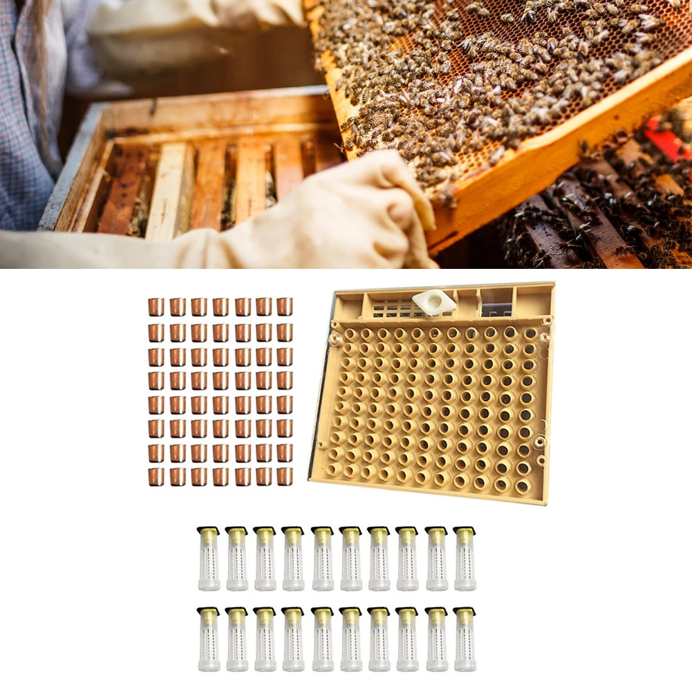 120pcs Beekeeping Tool Queen Rearing System Kit Plastic Bee Cell Cups Cultivating Storage Box Safety Management Tools