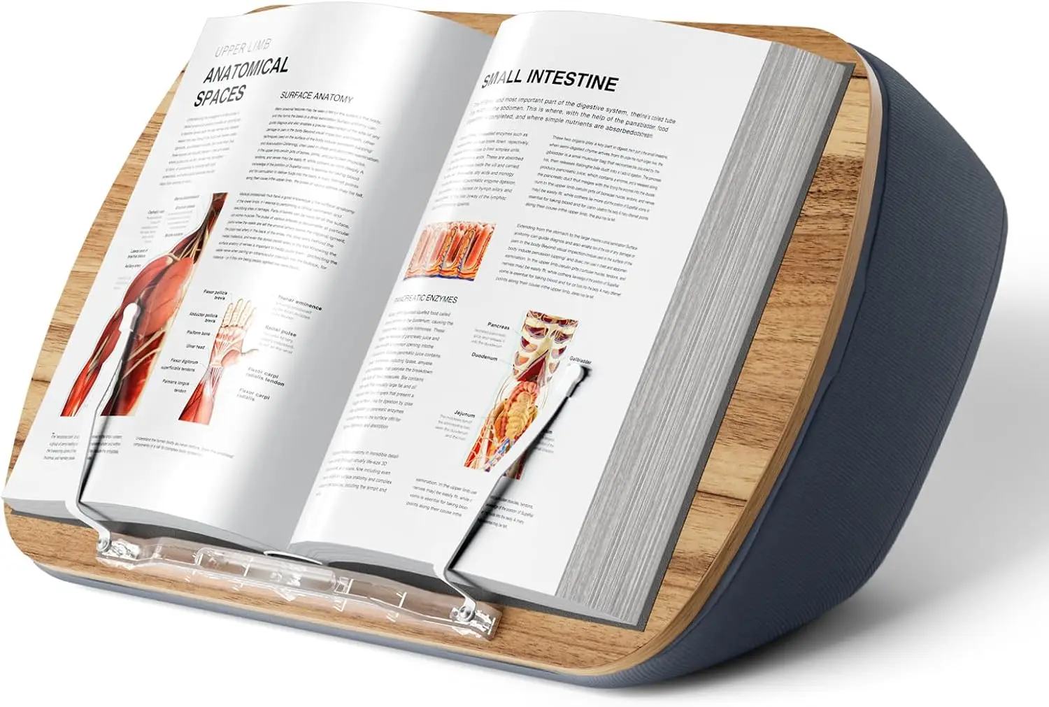 

Hands-Free Reading Pillow Stand for Comfort, Minimizes Neck Strain, Perfect for Book Lovers in Dorm or Anywhere - Gray