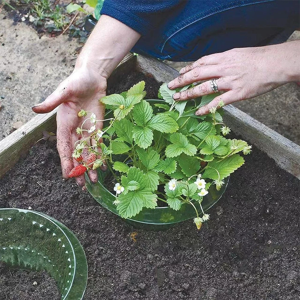 5-20pcs Snail Collars Slug Plant Protection Collars Vegetables Covers Reusable Agricultural Plant Snail Guard Save Water Garden