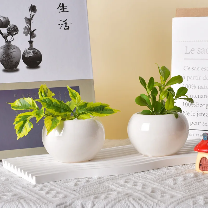 Yjq 6pcs simple spherical succulent ceramic flower pot creative mini ornament decorative self-priming water