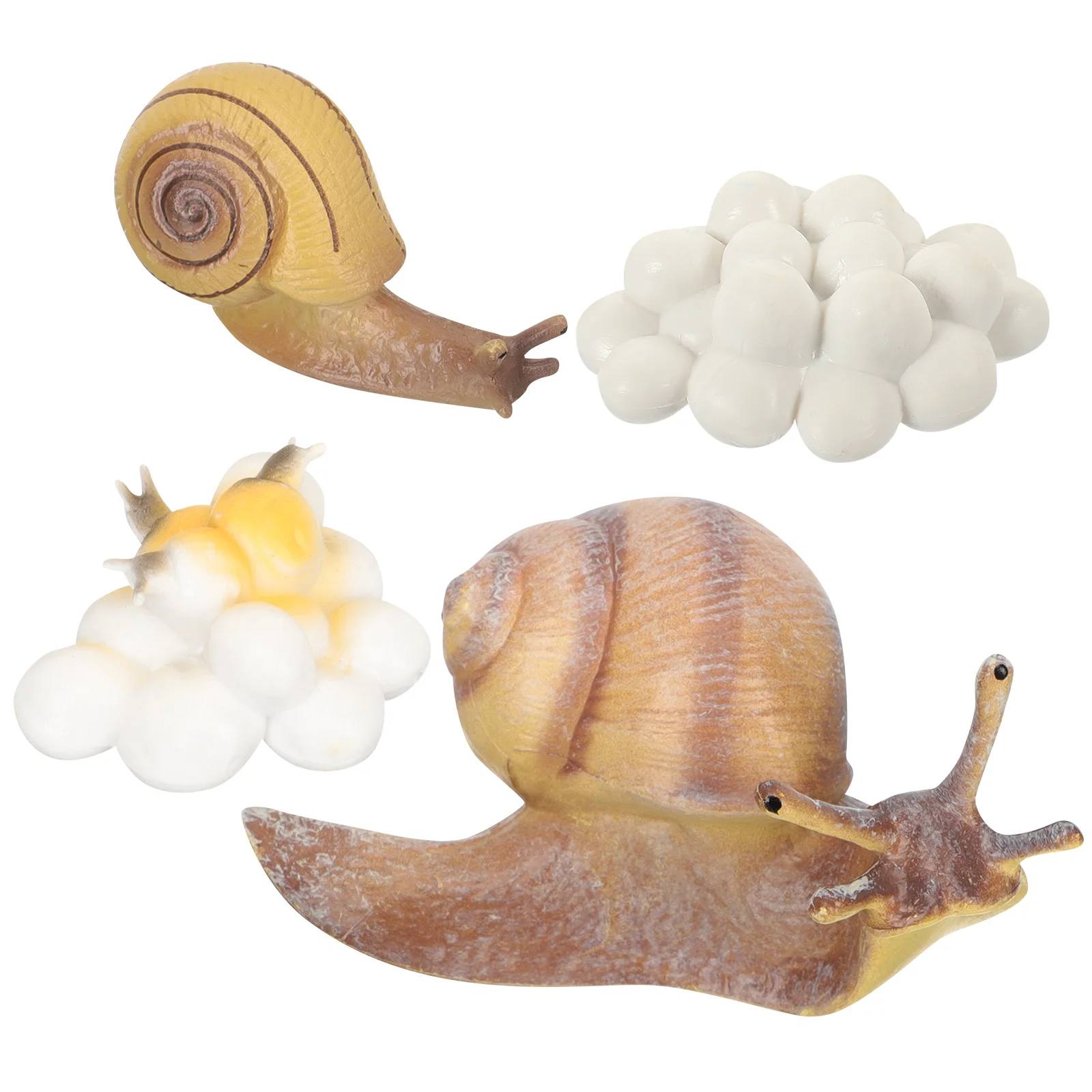 

Snail Metamorphosis Cycle Growth Toys B Animal Cognitive Models Kids Plaything Insect Educational