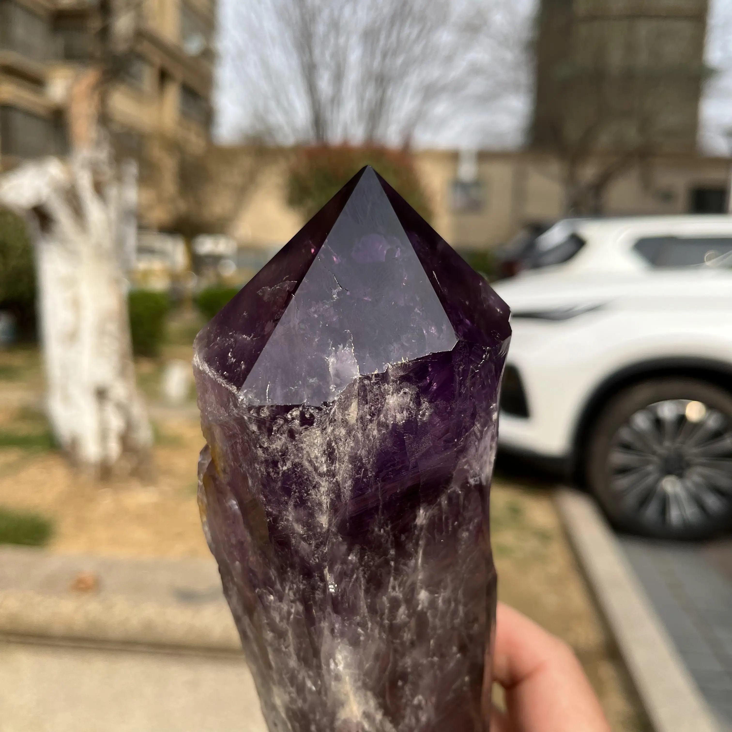 27cm Natural Amethyst Scepter Cluster Crystal Backbone Stone Quartz Reiki Healing Home Decor Mineral Specimen 02