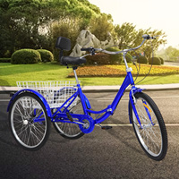 24 Inch Tricycle with Storage Basket Foldable 3 Wheels Bicycle Carbon Steel Frame Comfortable Seat Cushion Adjustable Design