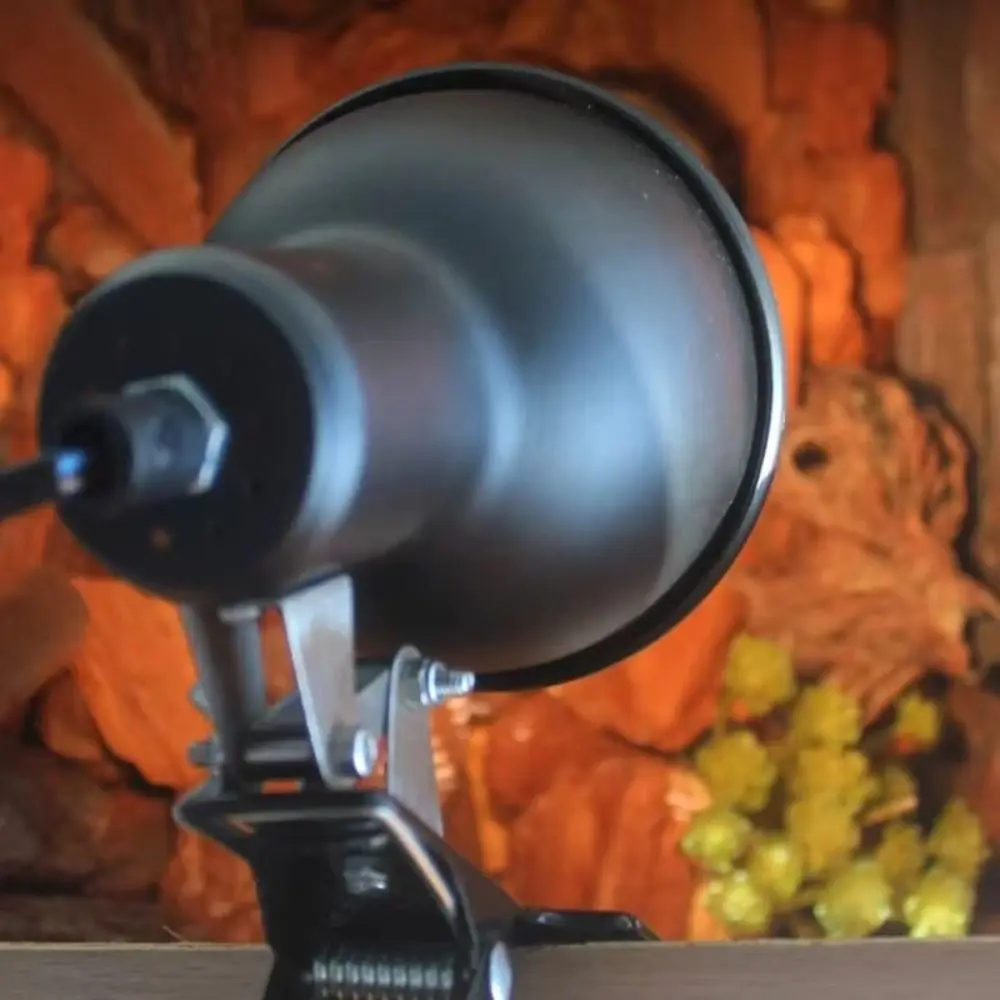 كليب على حامل مصباح السلاحف الفرح مصباح قابل للتعديل التدفئة ترموستات الزواحف مصباح الحرارة 75 واط Vivarium الحيوانات الأليفة الحرارة لمبة #2