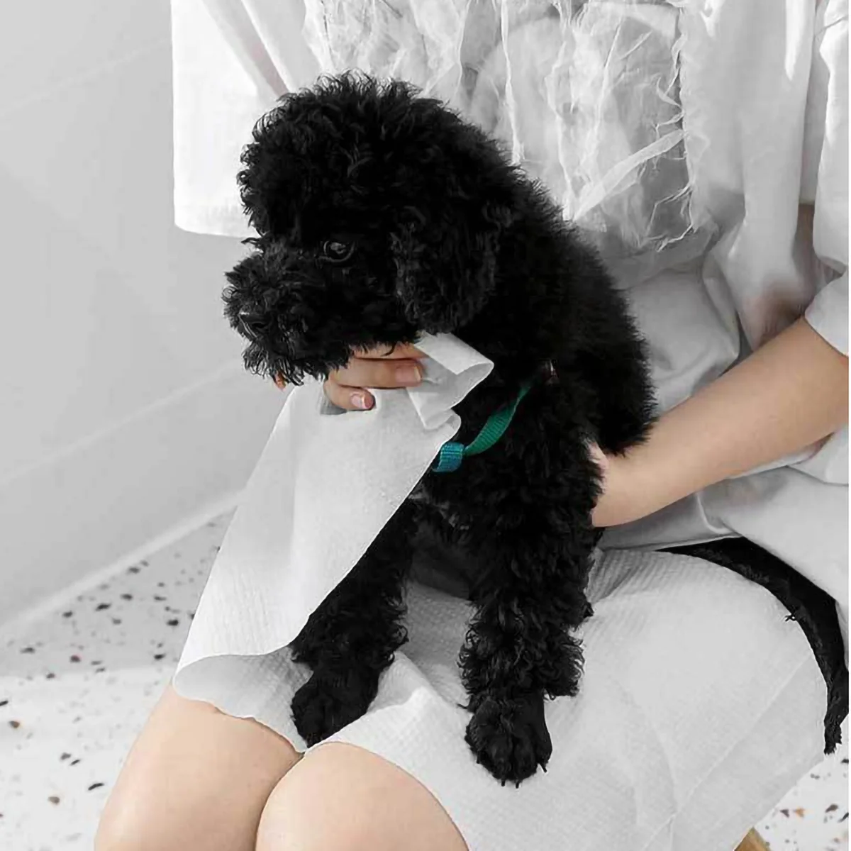 

10pcs-Disposable cotton pet bath towel for cats and dogs - a soft, absorbent, and quick drying travel towel