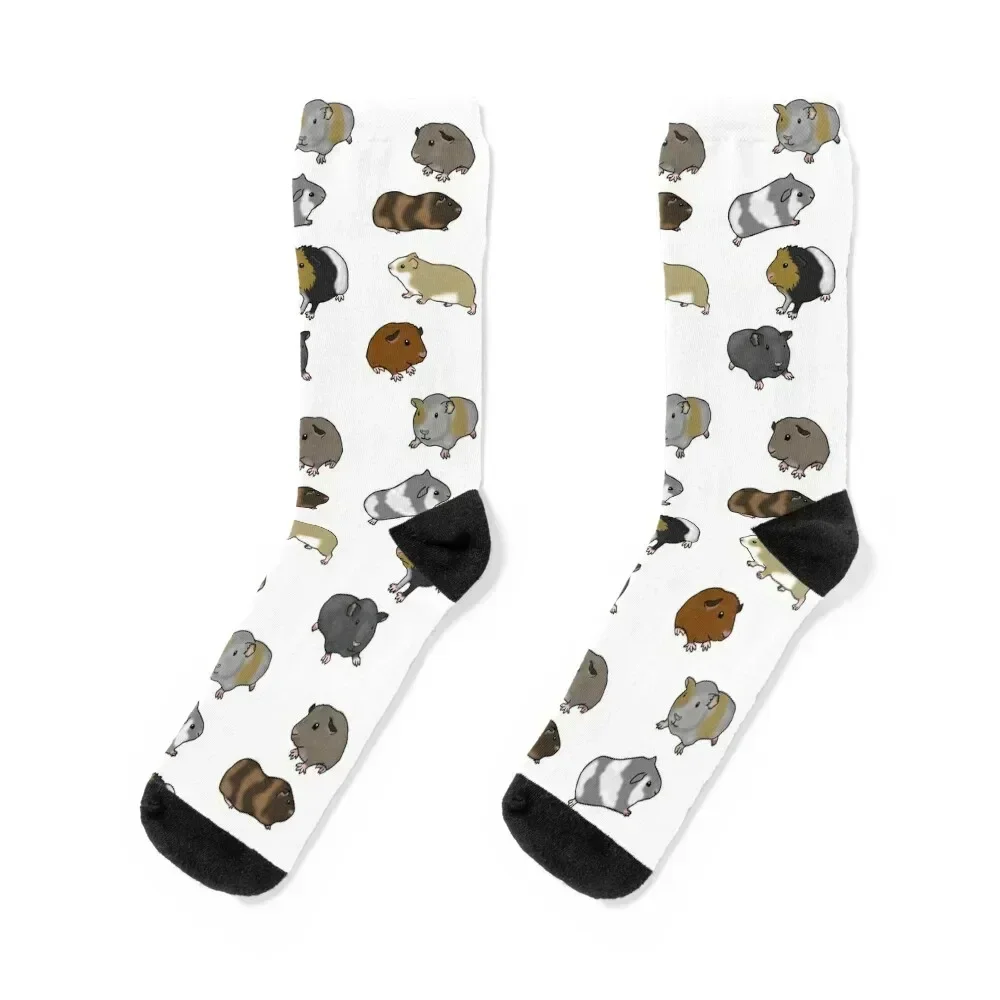 

Guinea Pig Socks Heating sock kids men cotton high quality kawaii Socks For Man Women's