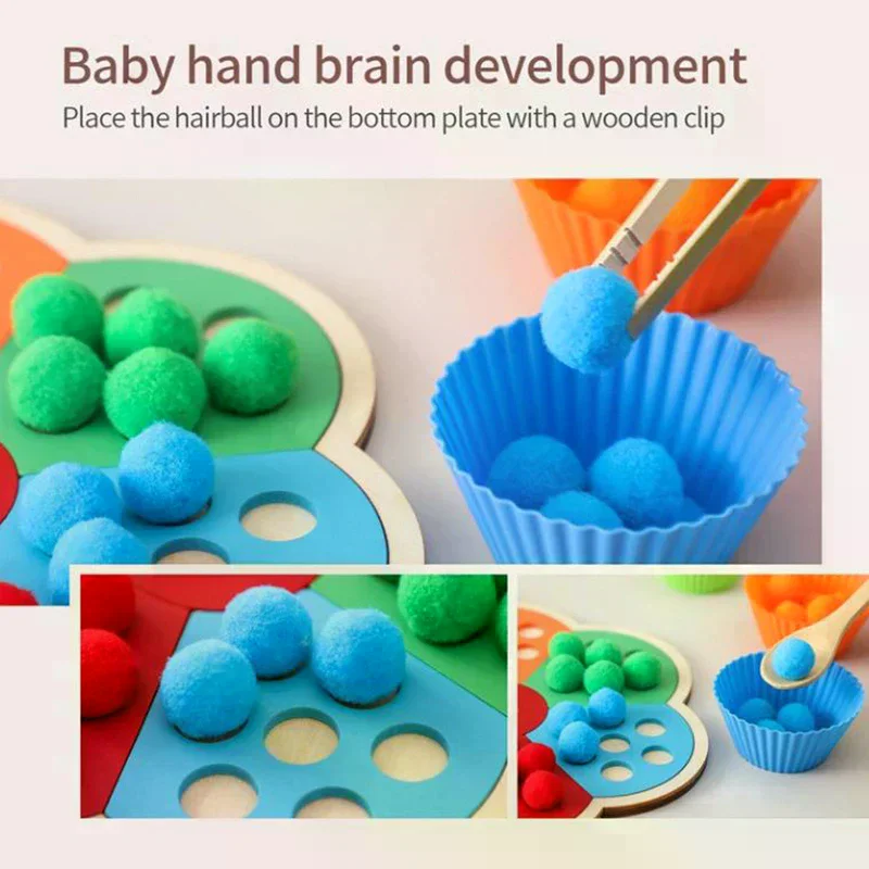 Jouet Montessori en bois en forme de fleur, planche arc-en-ciel pour enfants, jouet éducatif de motricité Fine, tri des couleurs pour bébé, jouet sensoriel, cadeau pour enfant