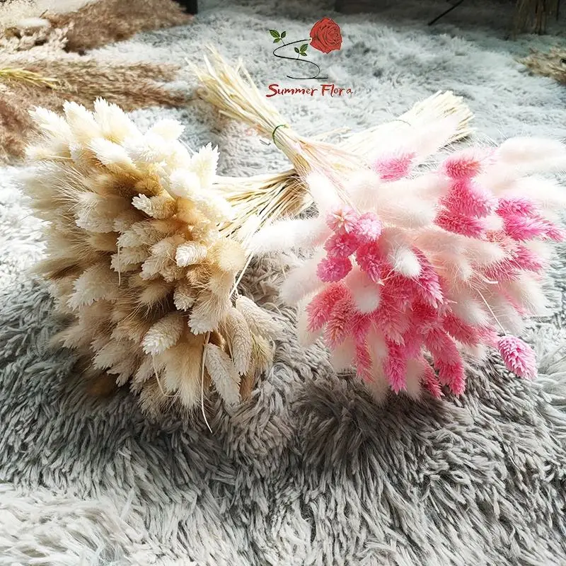 

Mix Gemstone Grass Bouquet Bunny Tails Dried Flowers,White Pink Natural Dry Pampas for Vase,Arrangement Wedding,Home Decoration