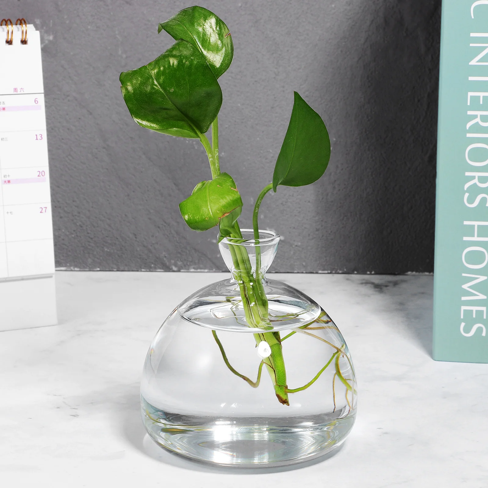 

Glass Vase For Flowers Container Creative Hydroponic Pot Holders Planter Decorative Clear Bohemian