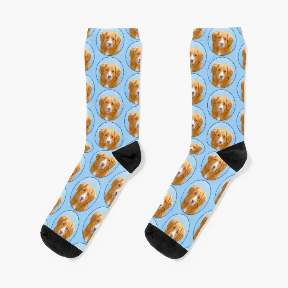 Nova Scotia Duck Tolling Retriever Dog Painting Socks snow warm winter Sports Socks Men's Women's