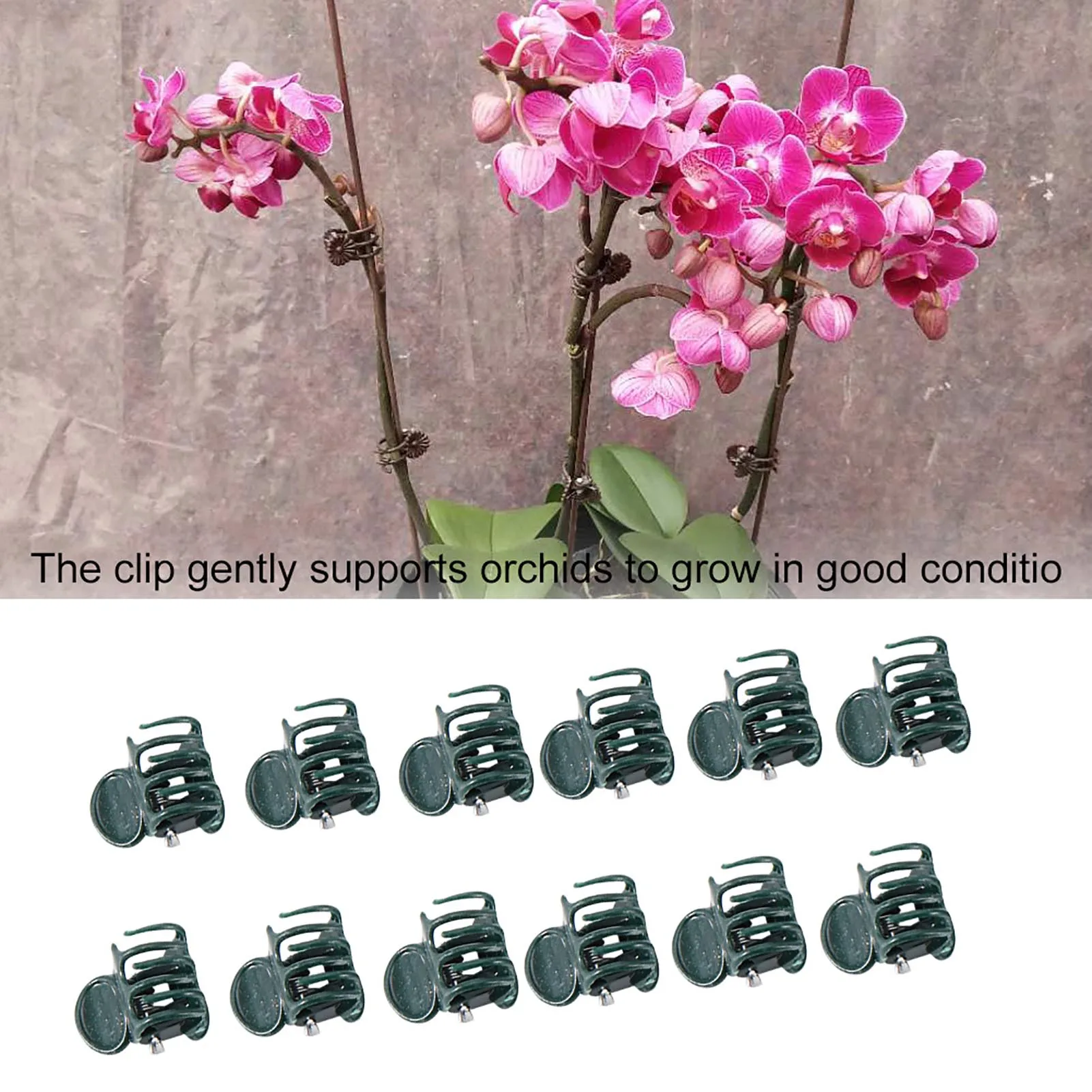 Plastic Mini Stalks Flower Garden Tools Stem Clips Grow Upright Orchid Plastic Orchid Clip