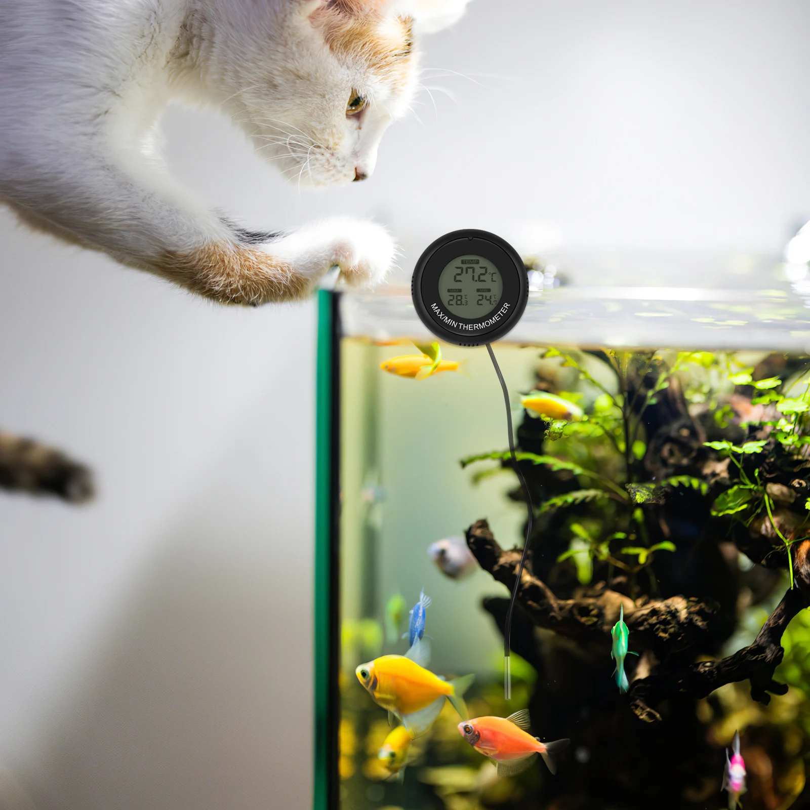 

2 Pcs Set of 2-piece Thermometer Internal Aquariums Mini Heater Termomether Digital Sticker Accessories Gadgets