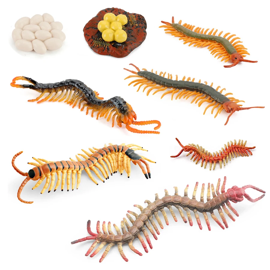Simulation Venomous Creatures Large Centipede Wild Insect Animals Growth Cycle Of Centipede Collectable Figurine Educational Toy