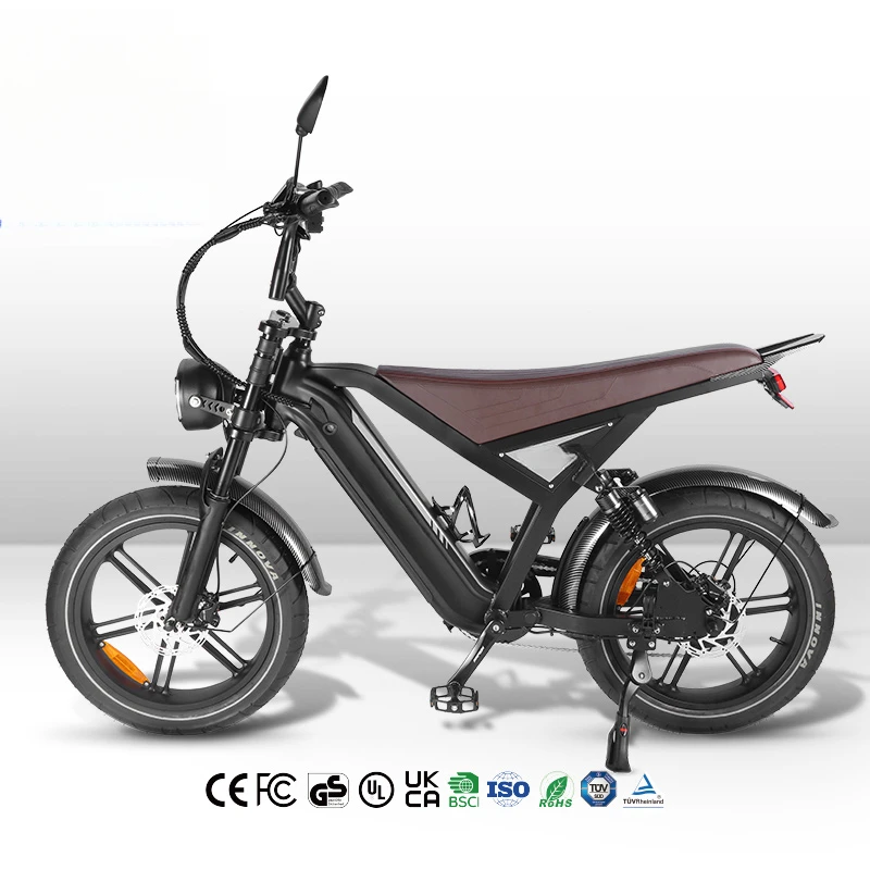 new GT20 20 Inch Fat Tire Fatbike 750w Ebike Bicycle Bike Electric Mountain Bike for Sale