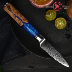 Grandsharp 3.2 Inch Paring Fruit Knife Damascus Steel Vegetable Peeling Knife Slicer Cooking Tools Accessories Garden Gadgets