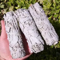 Portable White Sage Bundle Practical 10cm California Smudge Stick Wand Multifunctional Natural Spiritual Incense Sticks DIY