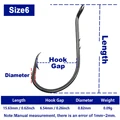 Size 6
