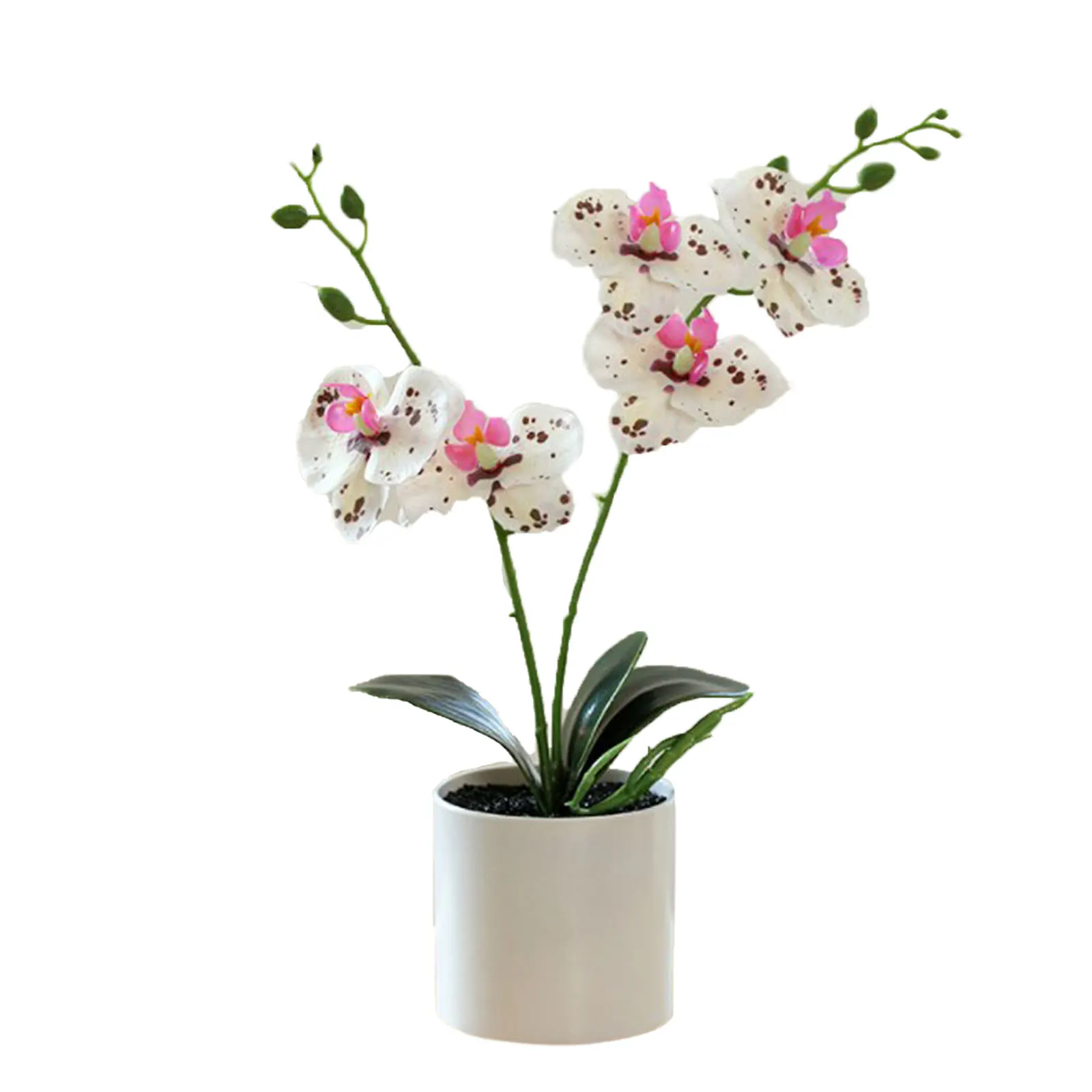 Artificial Double Fork Streaky Phalaenopsis Bonsai Multifarious Butterfly Orchid Flowers Ornaments Party Home Room Decoration