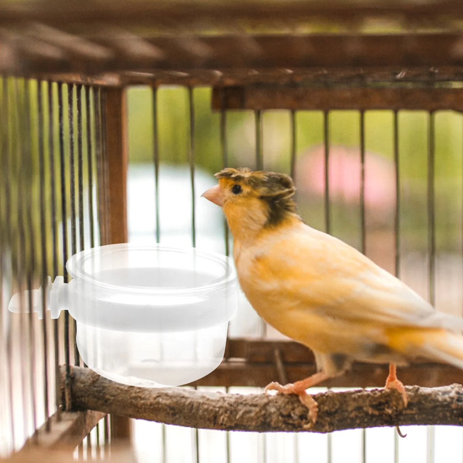 Tazze Ciotola trasparente rimovibile Cibo in plastica per mangiatoia per pappagalli facile da appendere Porta uccelli per animali domestici