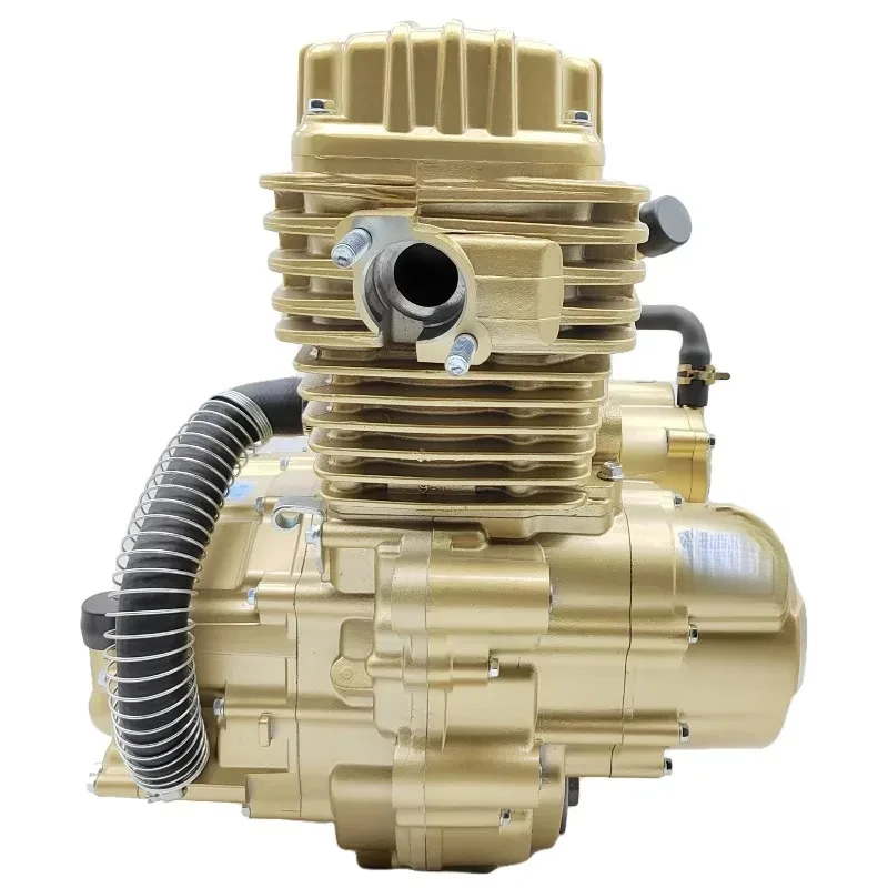 Factory Hot Selling (ZS174MN-2) Series Motorcycle Tricycle Quad Off-Road CG300 Motor 4-Stroke 5-Speed Gears C