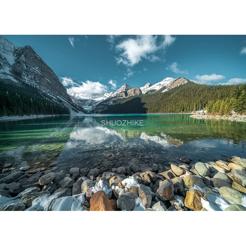 Fotorealistyczna tkanina naturalna sceneria fotografia tła drewniana podłoga łąkowa motyw Photo Studio tło rekwizyty 21812 DFZ-01