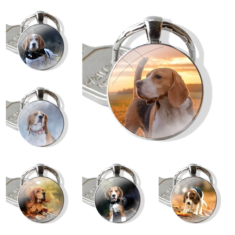 25mm Glass Cabohcon Keychain Key Rings for Women Men Jewelry Gift Beagle Dog