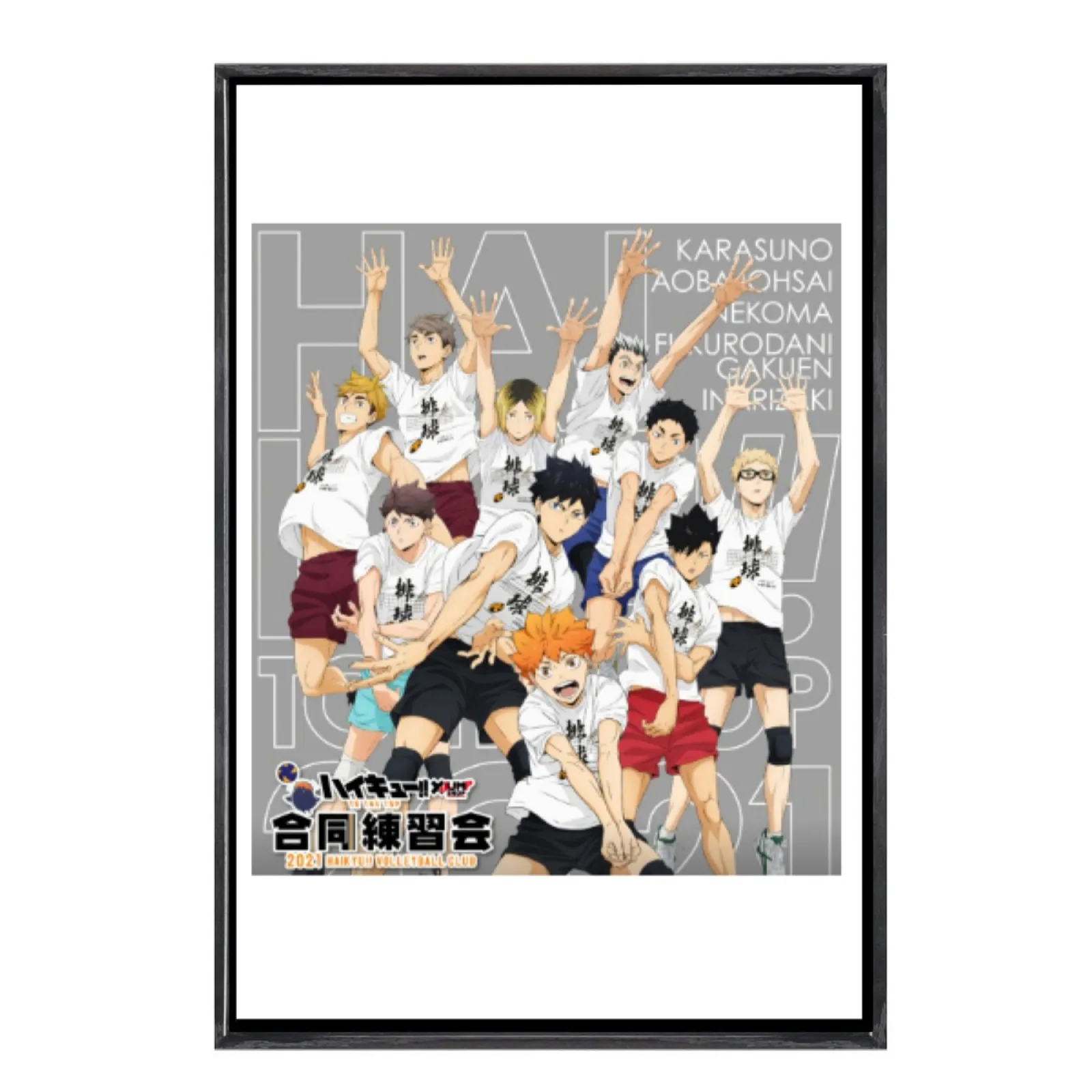 

Japanese Manga Multi-Size Canvas Poster Double Framed Wall Art, Haikyuu Home Decor for Living Room Bedroom