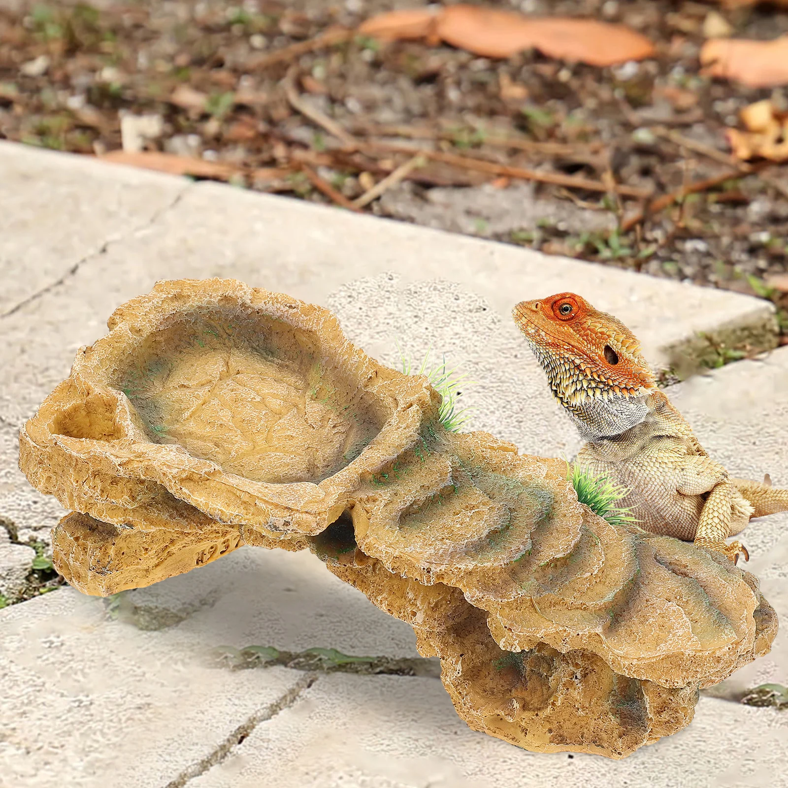 

1pc Premium Resin Turtle Basking Platform Aquarium Terrarium Reptile Hiding Shelter Tortoise Habitat Accessories Lizard Spider