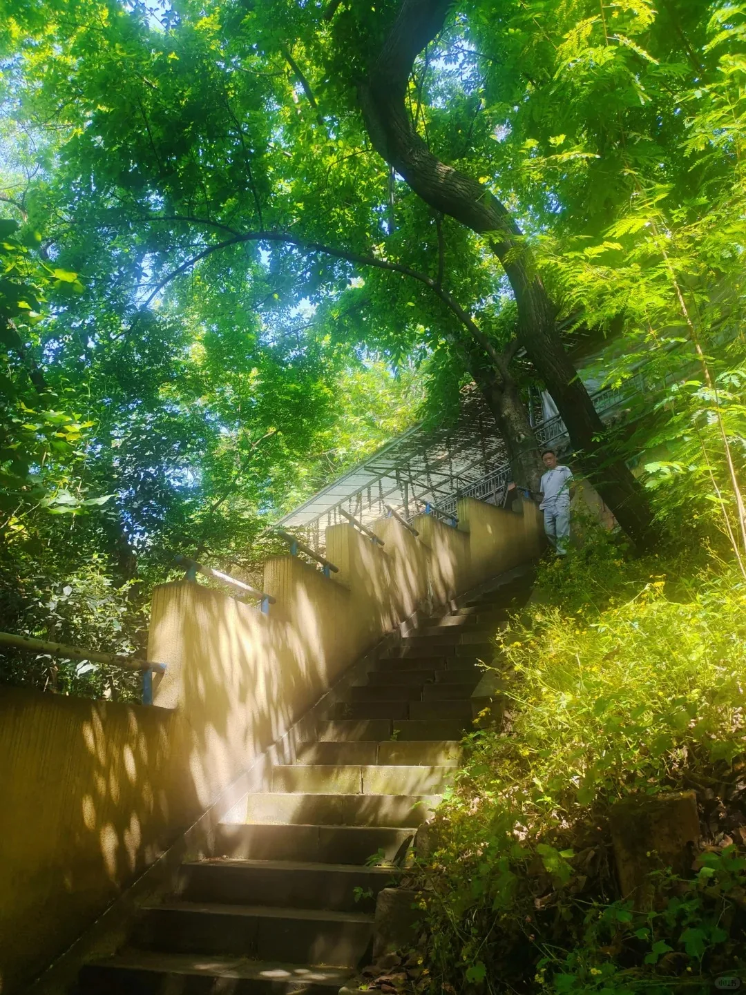 

Портативный мини-аппарат для EMS-массажа лица, удаления морщин, RF-лифтинга, электромагнитных патчей для век и стимуляции мышц лица