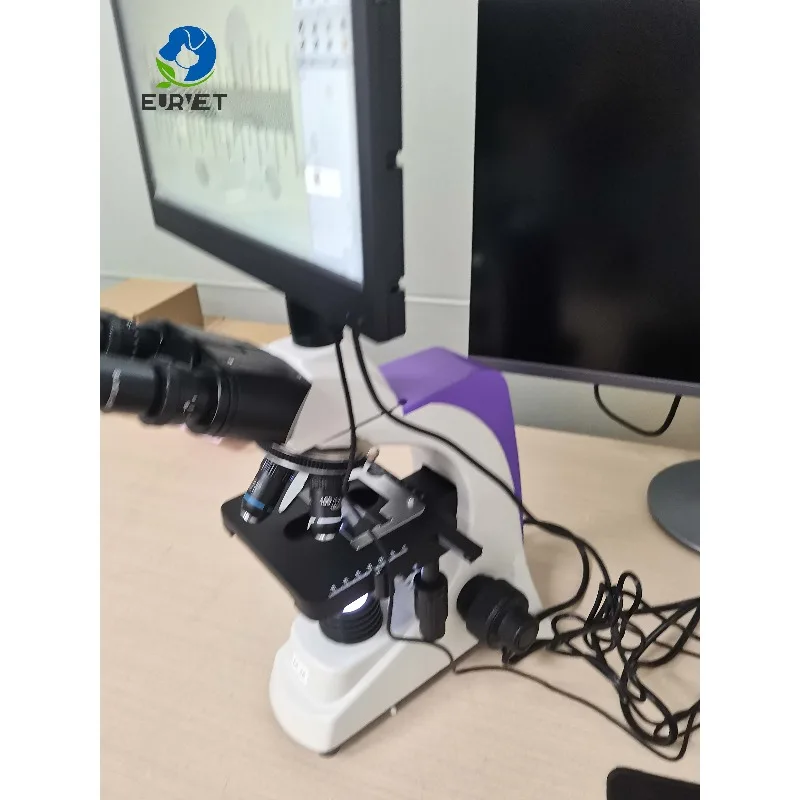 2026 Veterinary Biological Microscope Veterinary Equipment Laboratory Microscope for Commercial Equipment and Animal Care