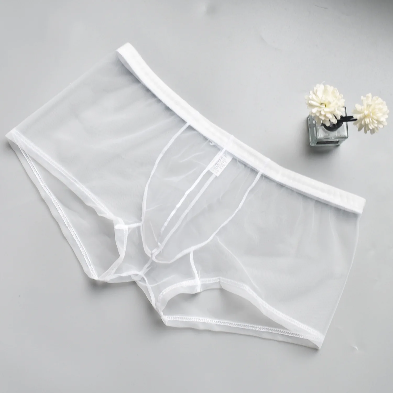 Sous-vêtements porno transparents pour hommes, boxer en maille respirante, culotte de tentation, ultra mince, transparent, également solide, document sexy