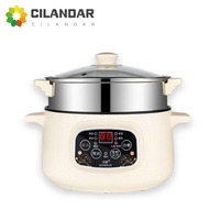 110v intelligent electric Cooking pot Travel electric frying pan Multifunctional electric hot pot portable rice cooker