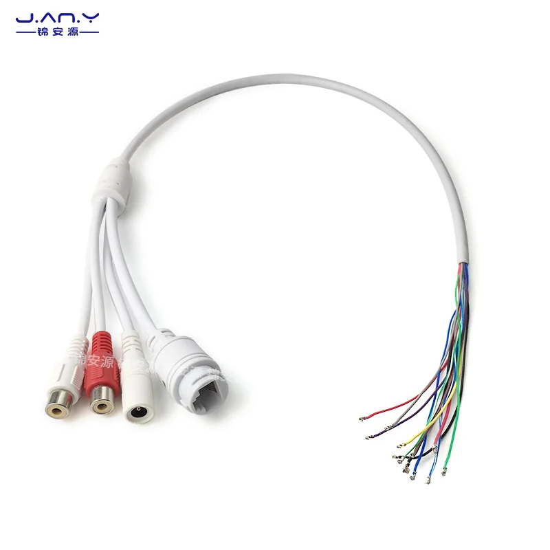 12 core dual RCA audio network waterproof tail line real-time voice intercom audio input/output multifunctional network cable