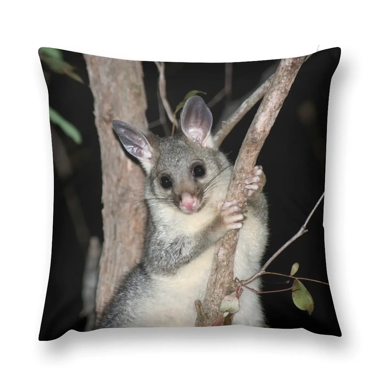 ? Australian brushtail possum (young) Throw Pillow pillow cover christmas Couch Pillows Cushions pillow