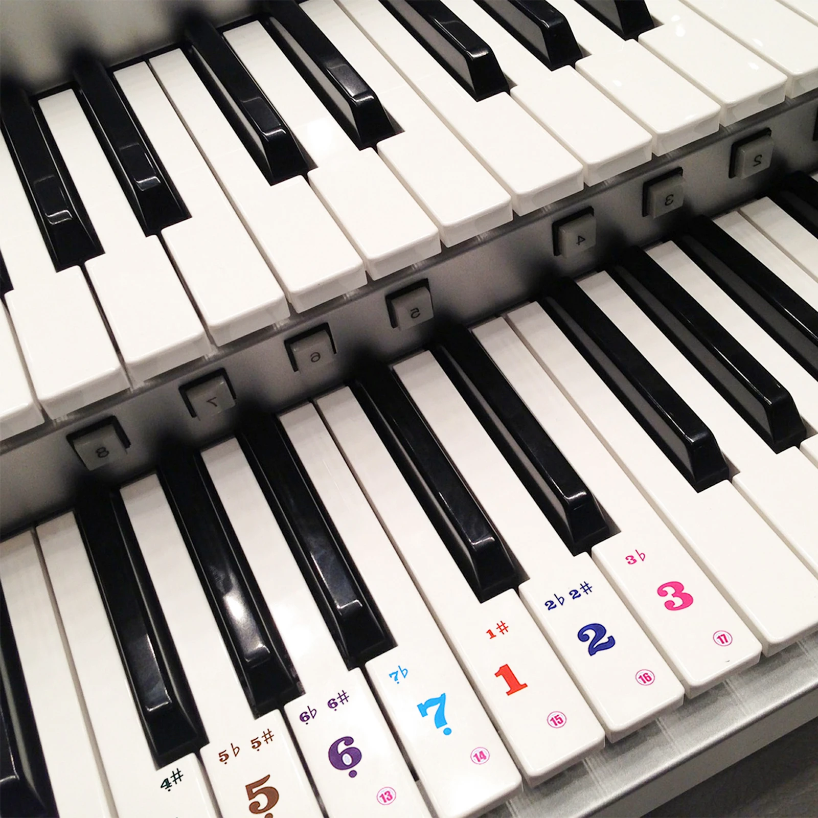 

2 Sheets 61 Keys Piano Stickers Transparent Cartoon Labels for Beginner Practice Notes Decal Keyboard Musical Instrument