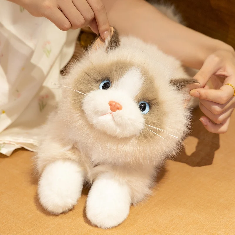 Realist Animals Adopt A Plush Cat Cute Simulation Cat Plush Toys Fluffy High Quality Ragdoll Cat Plush Doll Kid Birthday Gift
