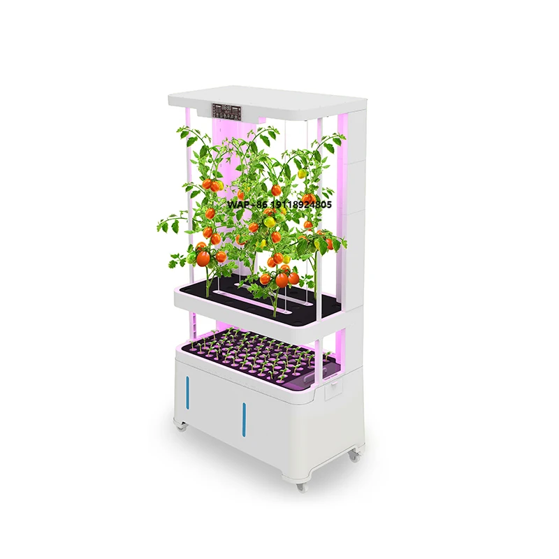 

Hydroponic Tomato Blueberry System Indoor Vertical Equipment Pump Easy Operate 1 Year Warranty Model H5-Fruits Vegetables 40.3kg