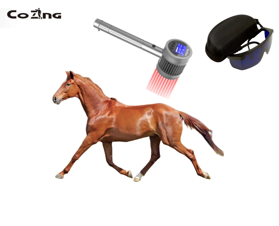 

COZING High Power Laser Veterinary Physiotherapy Therapy Equipment For Pain Relief Dogs Horse