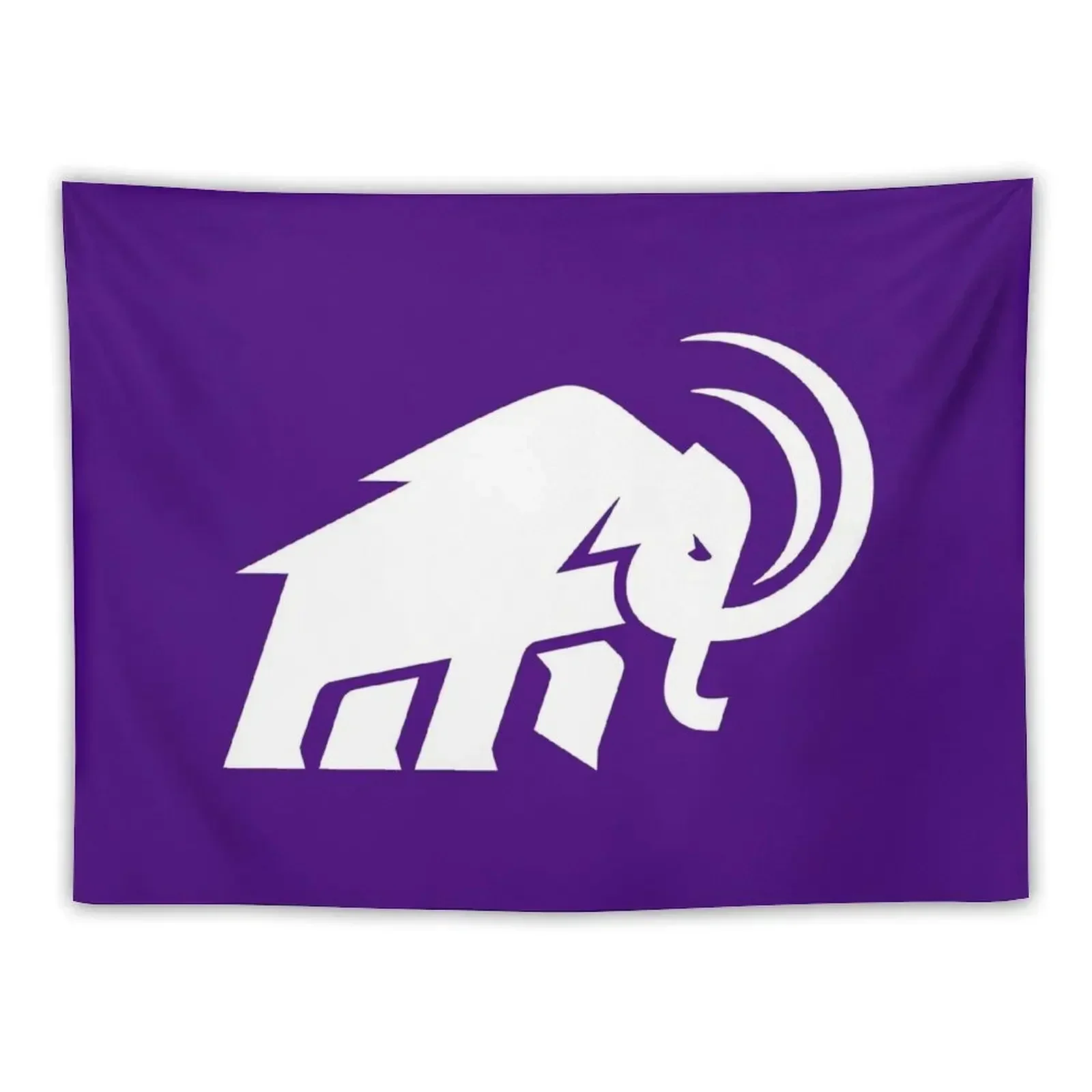 Amherst College Tapestry Things To Decorate The Room Wall Art Tapestry