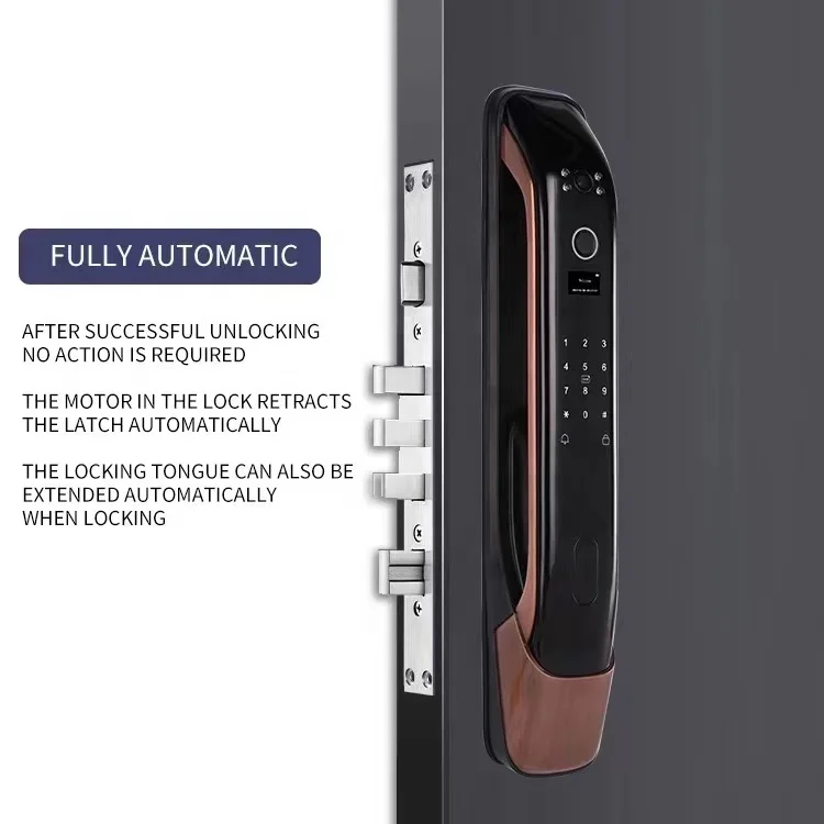 Smart Aluminum Alloy Door Lock with Built-in Tuya Application and Biometric Fingerprint Recognition,with Camera